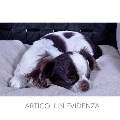 ARTICOLI-500x500