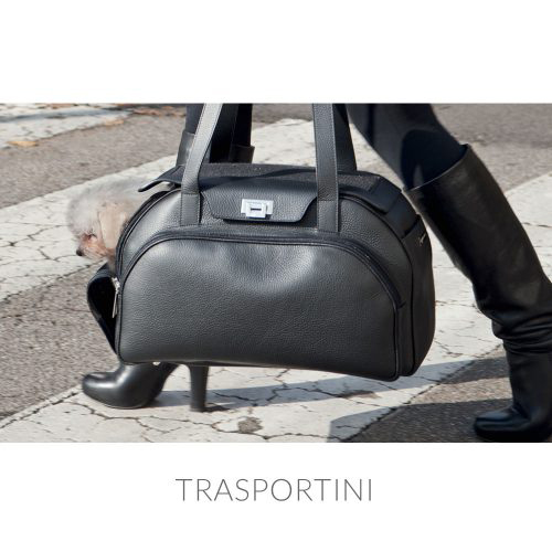 TRASPORTINI-500x500