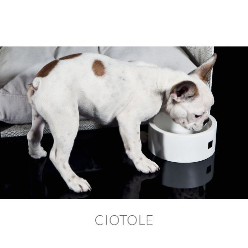 ciotole-500x500